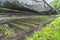 Wasabi plantation field at Daio Wasabi Farm. å¤§çŽ‹ã‚ã•ã³è¾²å ´.